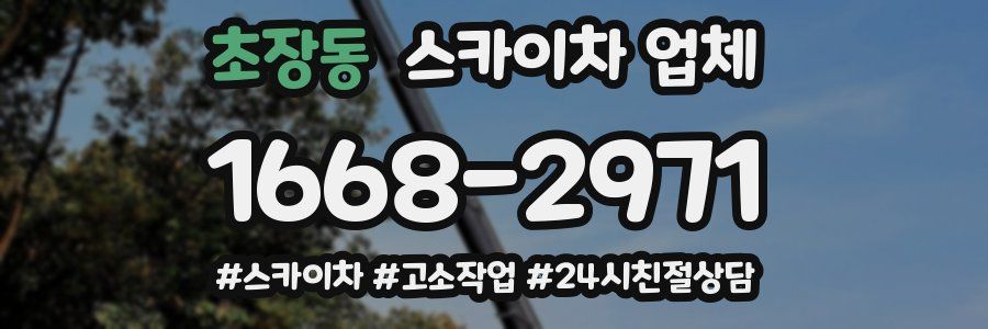 초장동 스카이차 업체