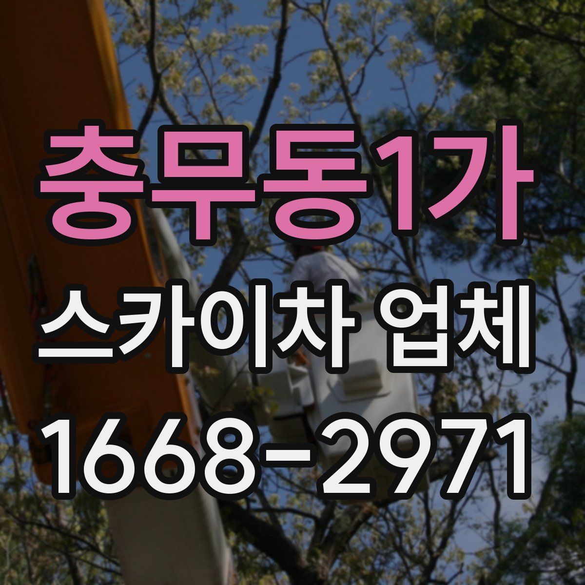 충무동1가 스카이차 업체