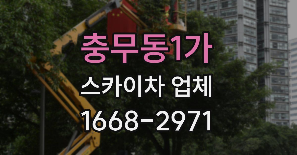 충무동1가 스카이차 업체