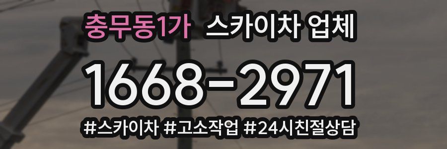 충무동1가 스카이차 업체
