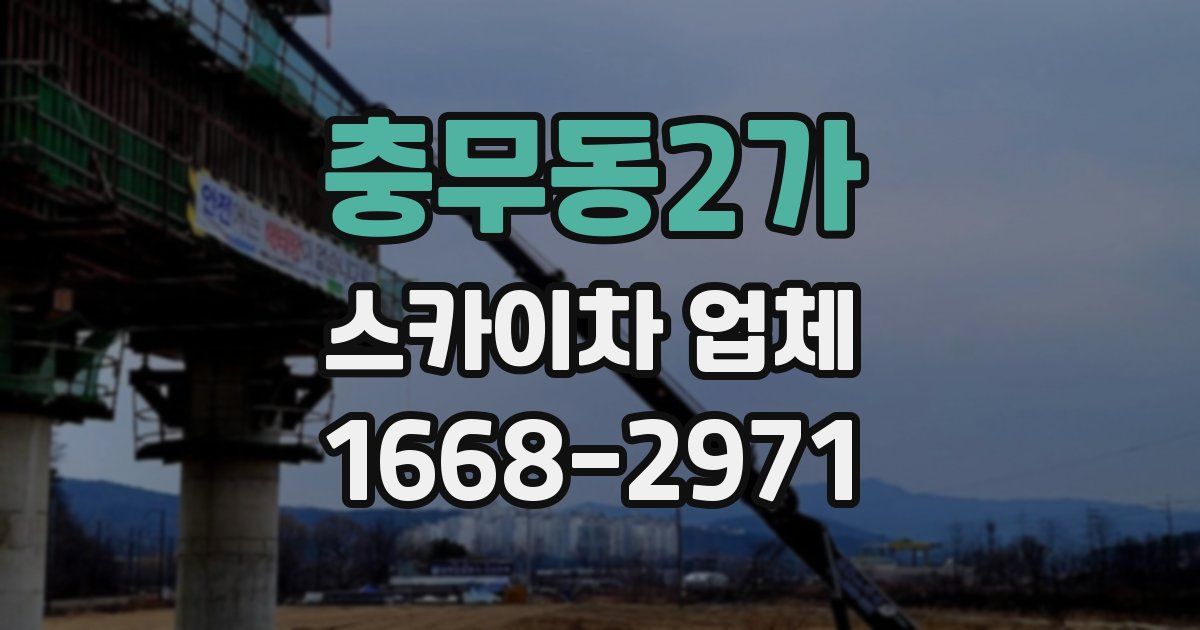 충무동2가 스카이차 업체