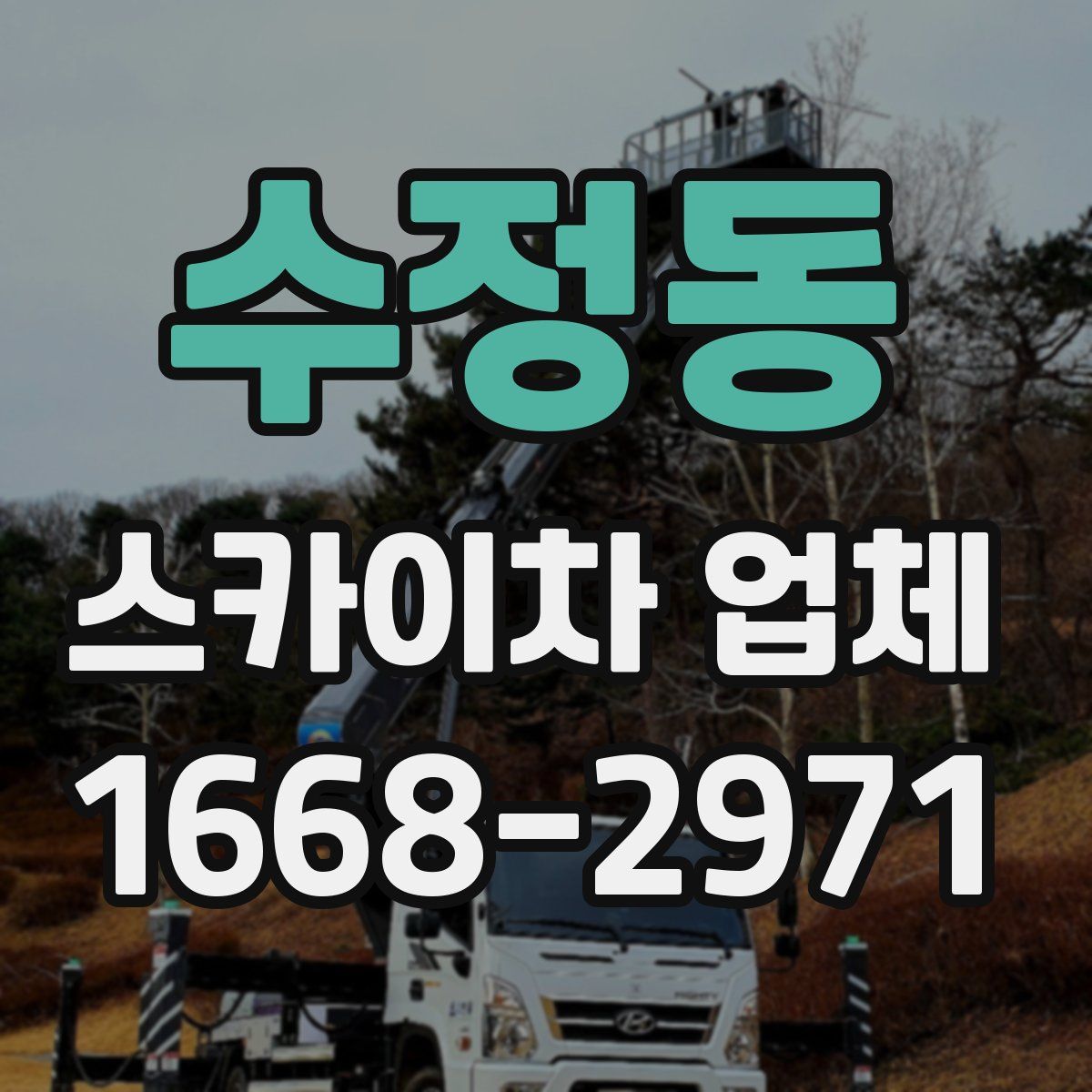 수정동 스카이차 업체