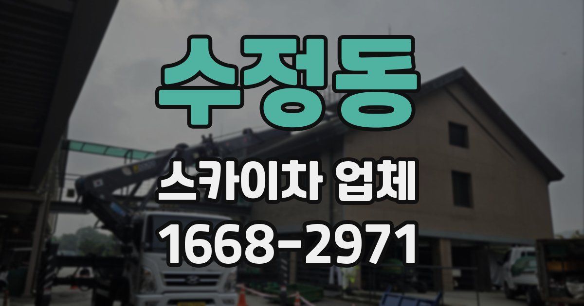 수정동 스카이차 업체