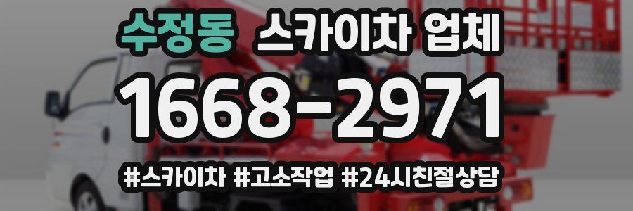 수정동 스카이차 업체