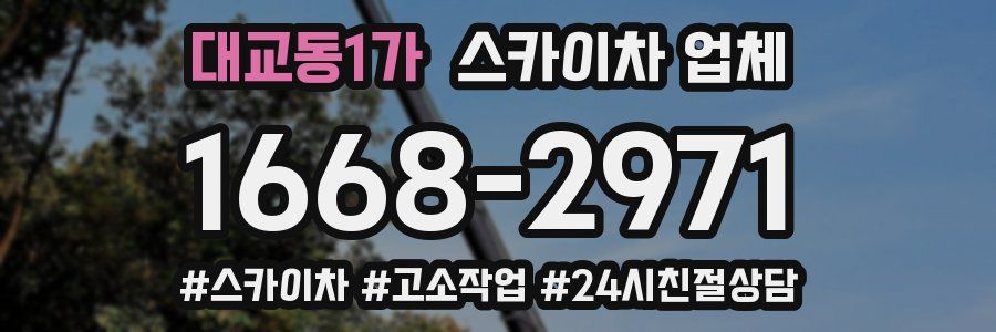 대교동1가 스카이차 업체