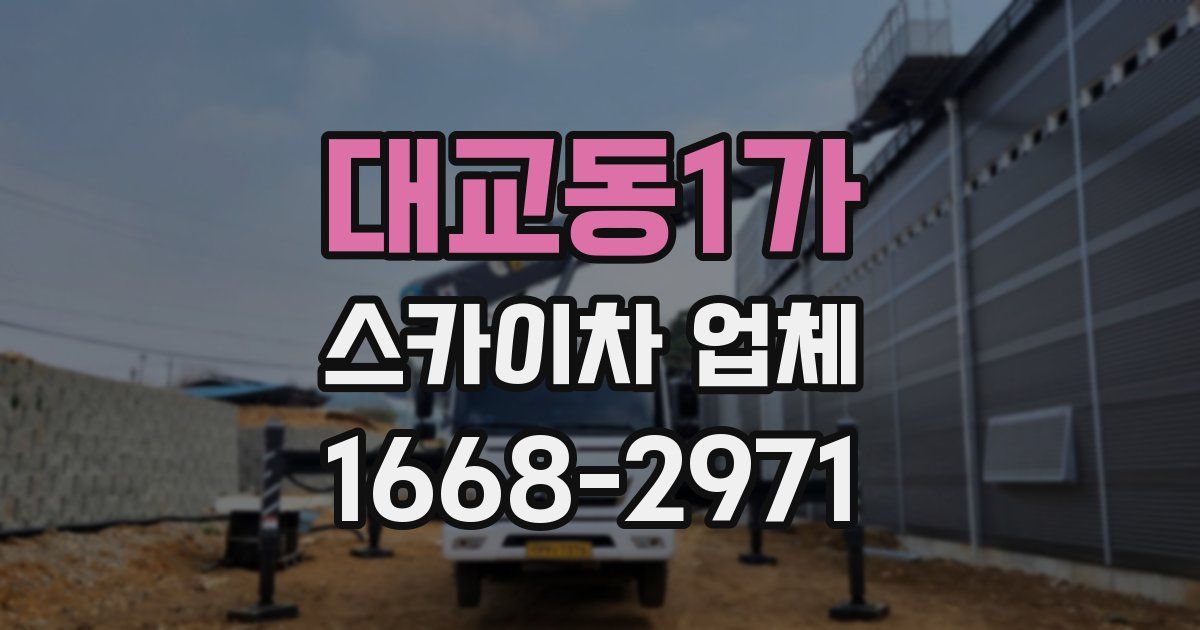 대교동1가 스카이차 업체