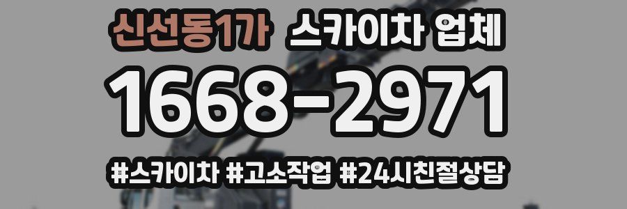 신선동1가 스카이차 업체