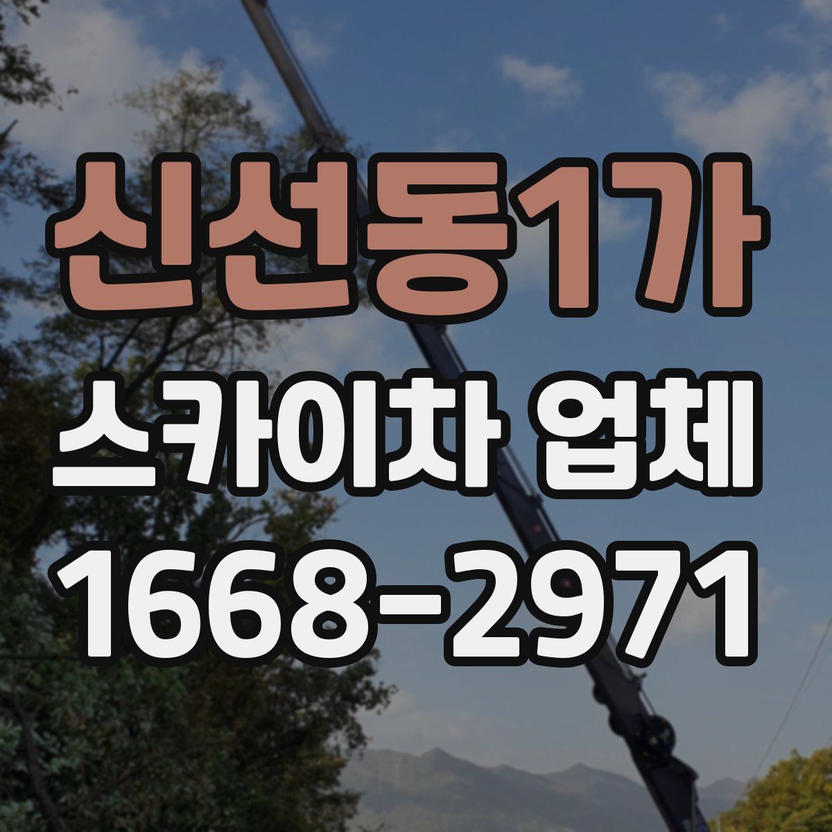 신선동1가 스카이차 업체