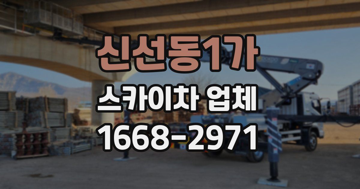 신선동1가 스카이차 업체