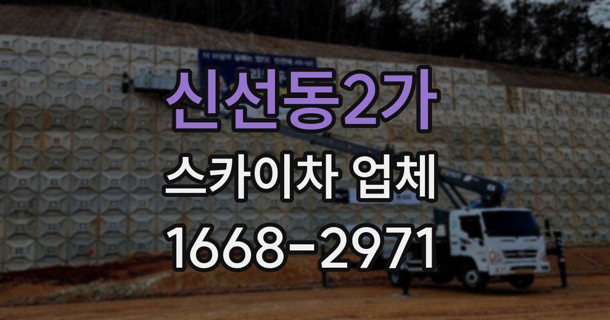 신선동2가 스카이차 업체