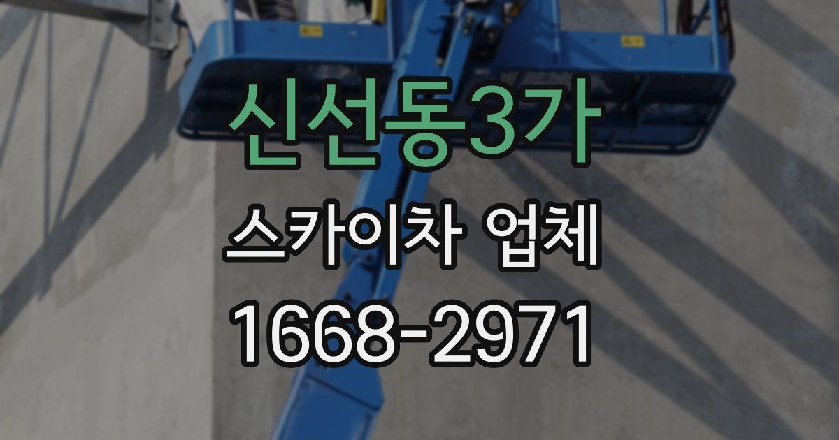 신선동3가 스카이차 업체
