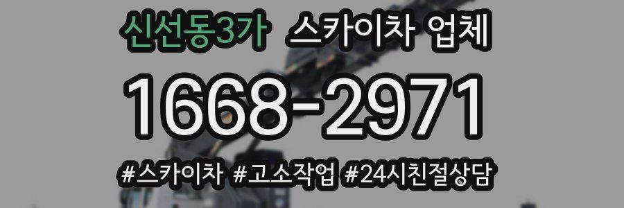 신선동3가 스카이차 업체
