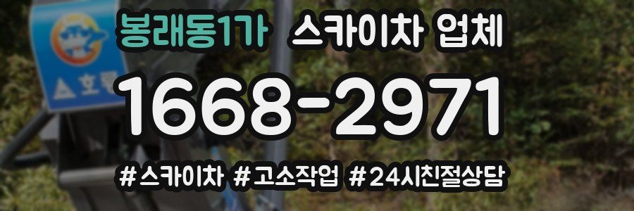 봉래동1가 스카이차 업체