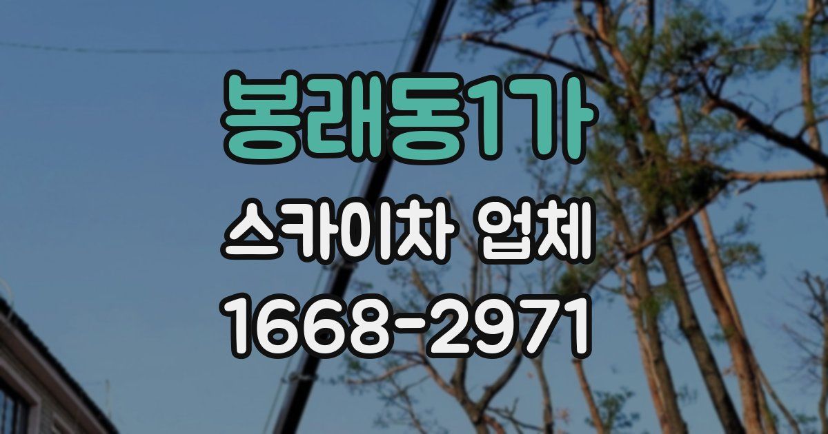 봉래동1가 스카이차 업체