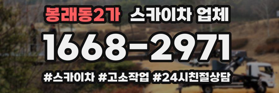 봉래동2가 스카이차 업체