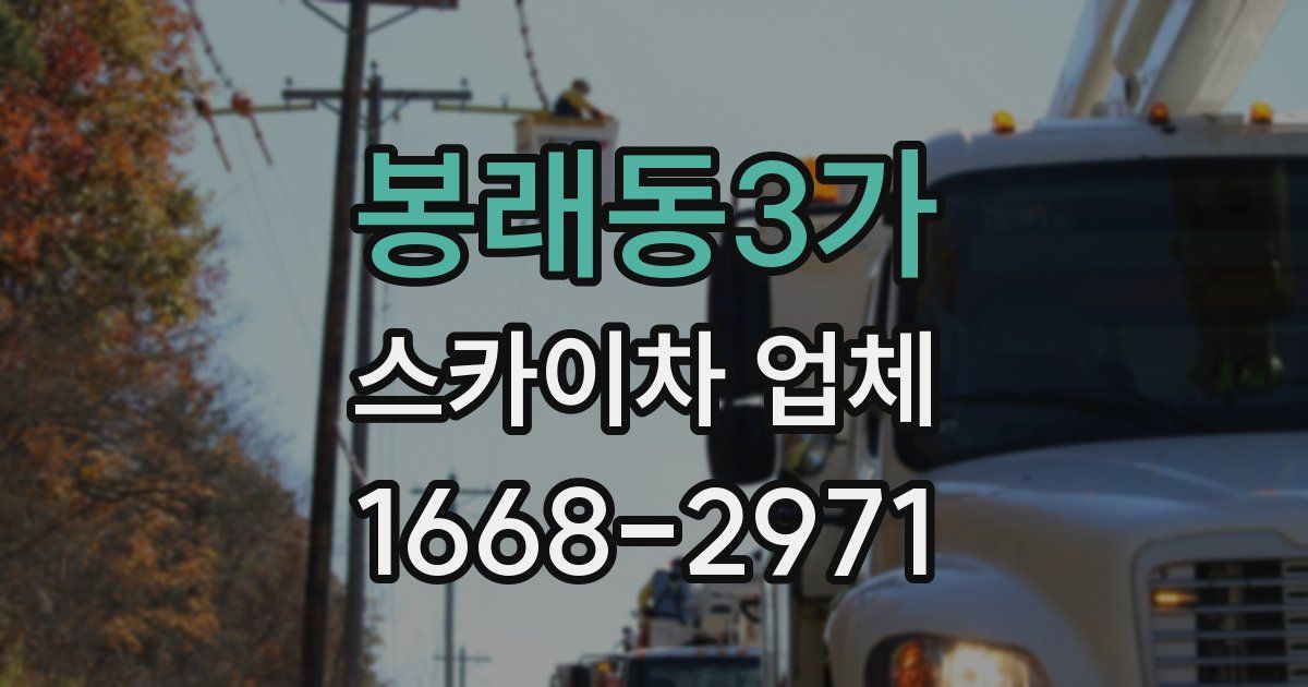봉래동3가 스카이차 업체