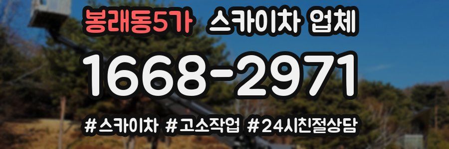 봉래동5가 스카이차 업체