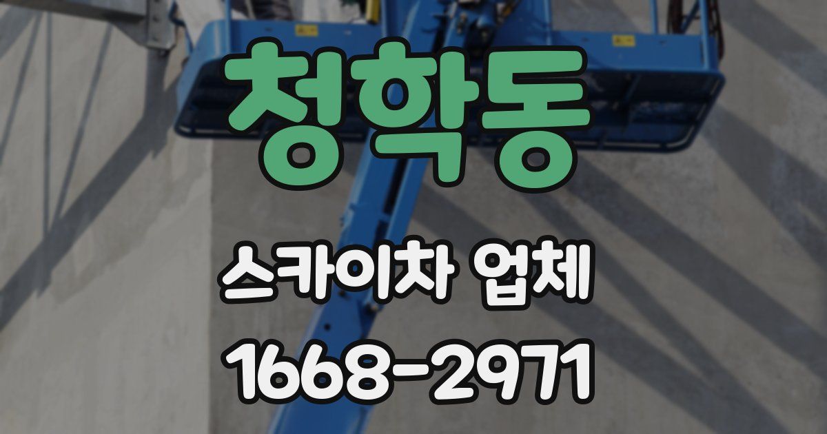 청학동 스카이차 업체