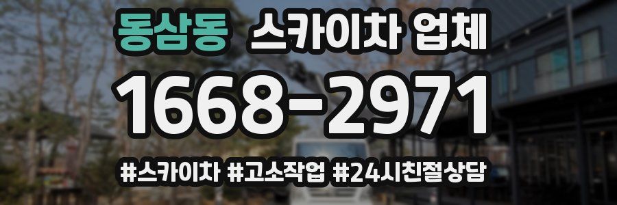 동삼동 스카이차 업체