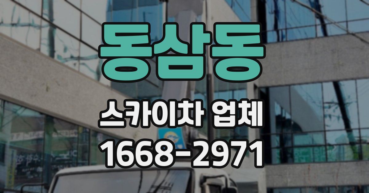 동삼동 스카이차 업체