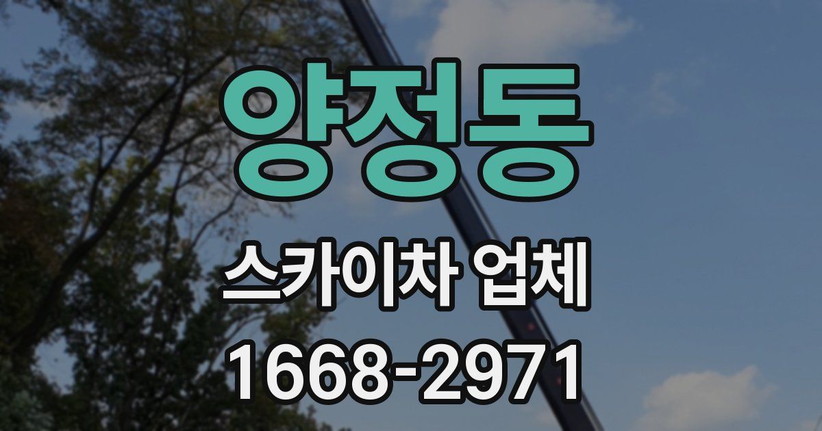 양정동 스카이차 업체