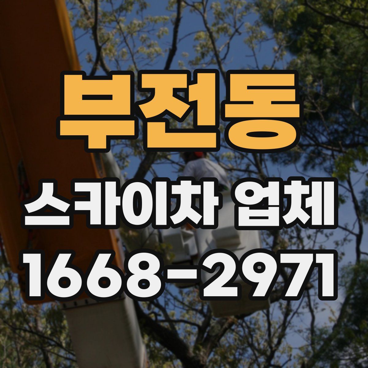부전동 스카이차 업체