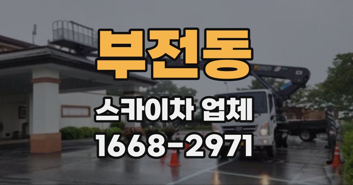 부전동 스카이차 업체
