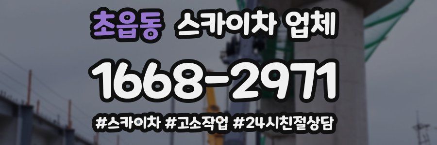 초읍동 스카이차 업체