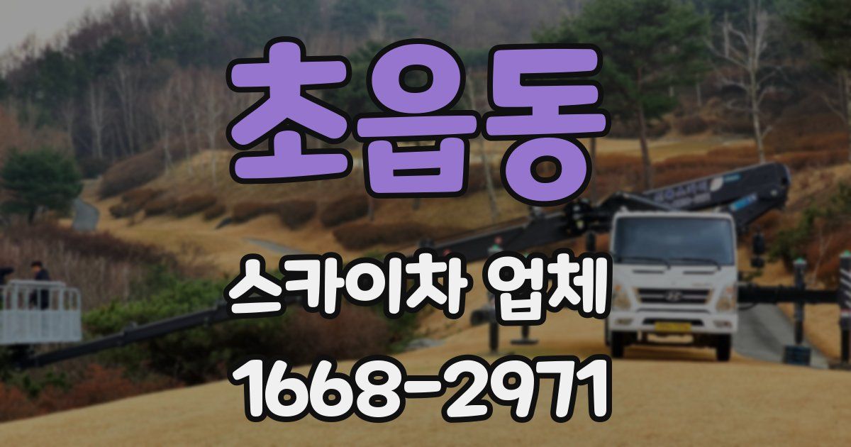초읍동 스카이차 업체