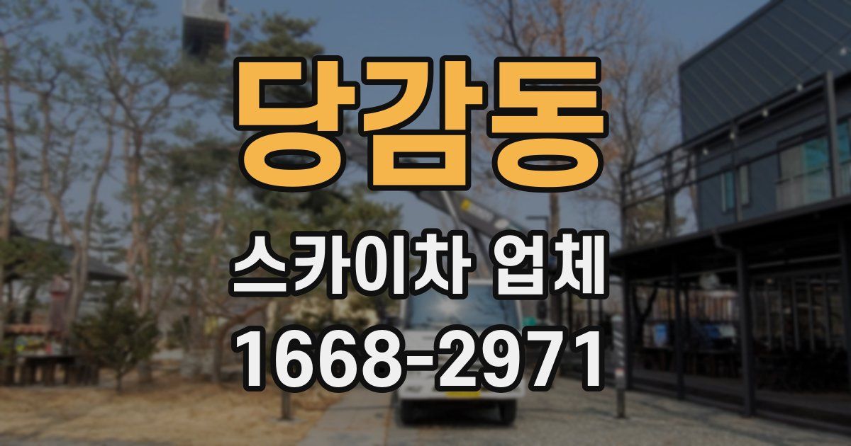 당감동 스카이차 업체