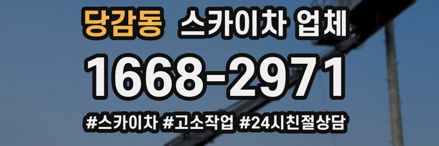 당감동 스카이차 업체