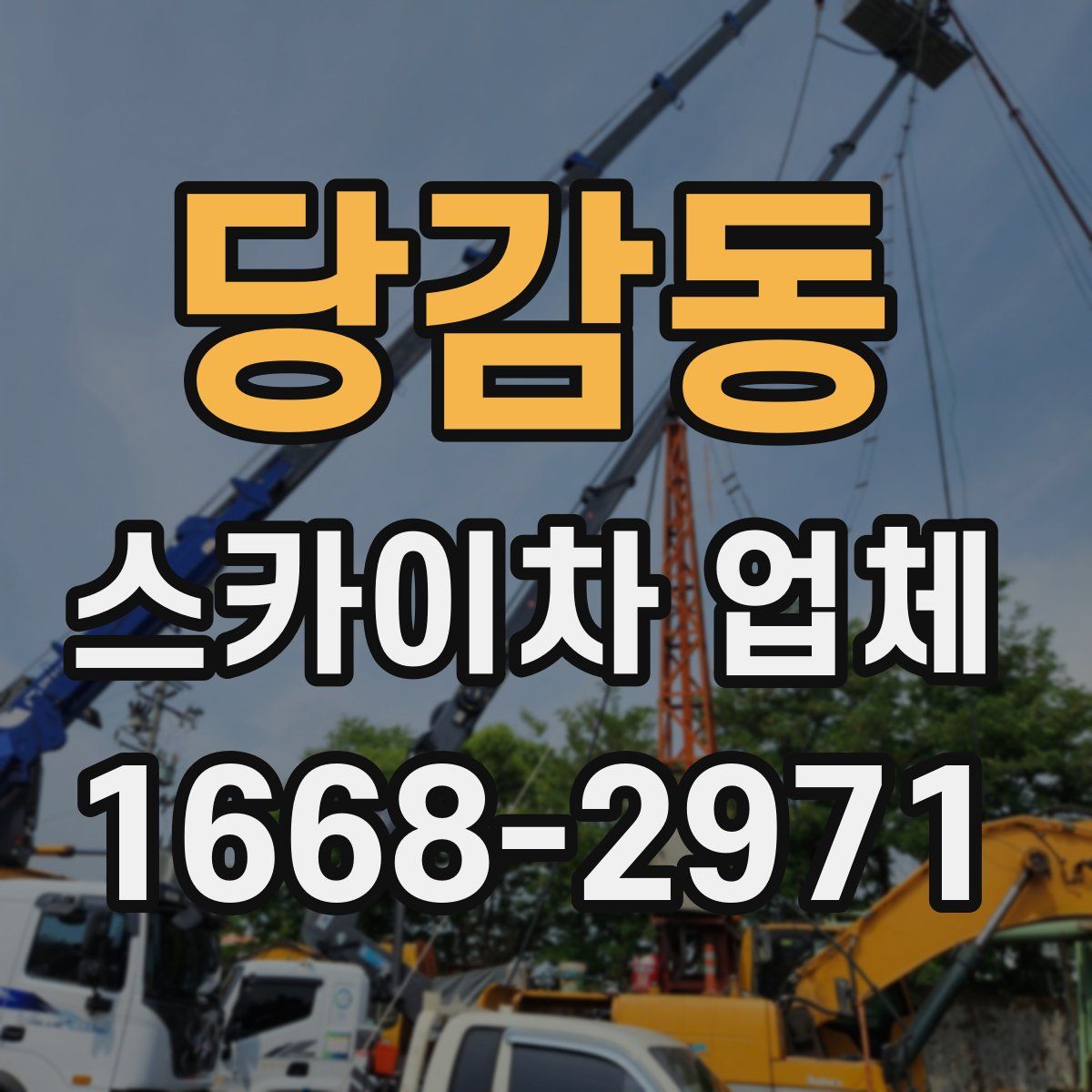 당감동 스카이차 업체