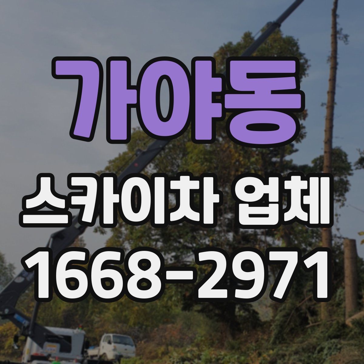 가야동 스카이차 업체