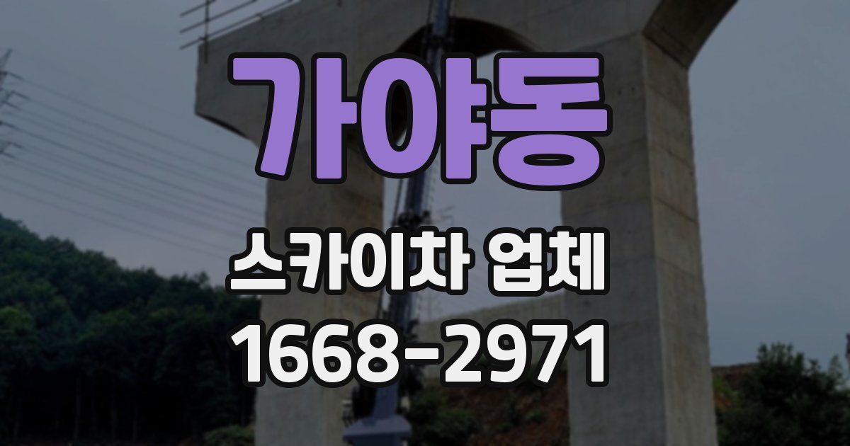가야동 스카이차 업체