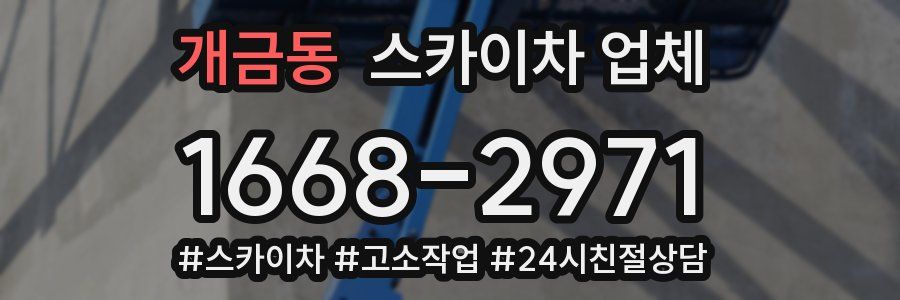 개금동 스카이차 업체