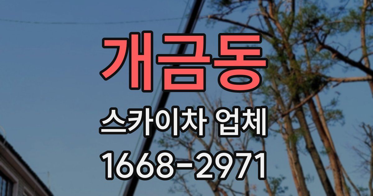 개금동 스카이차 업체