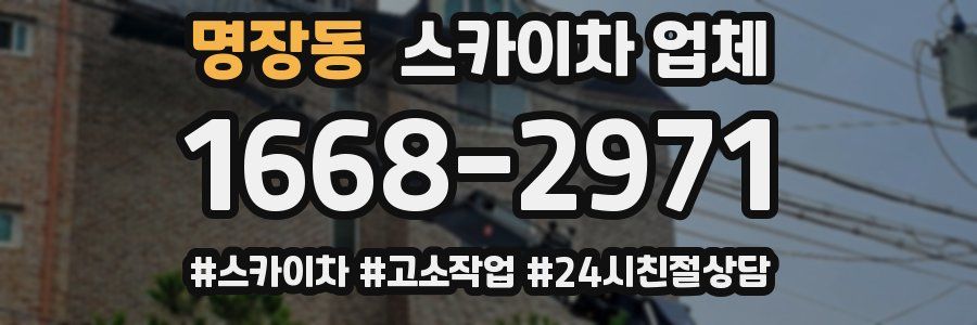 명장동 스카이차 업체