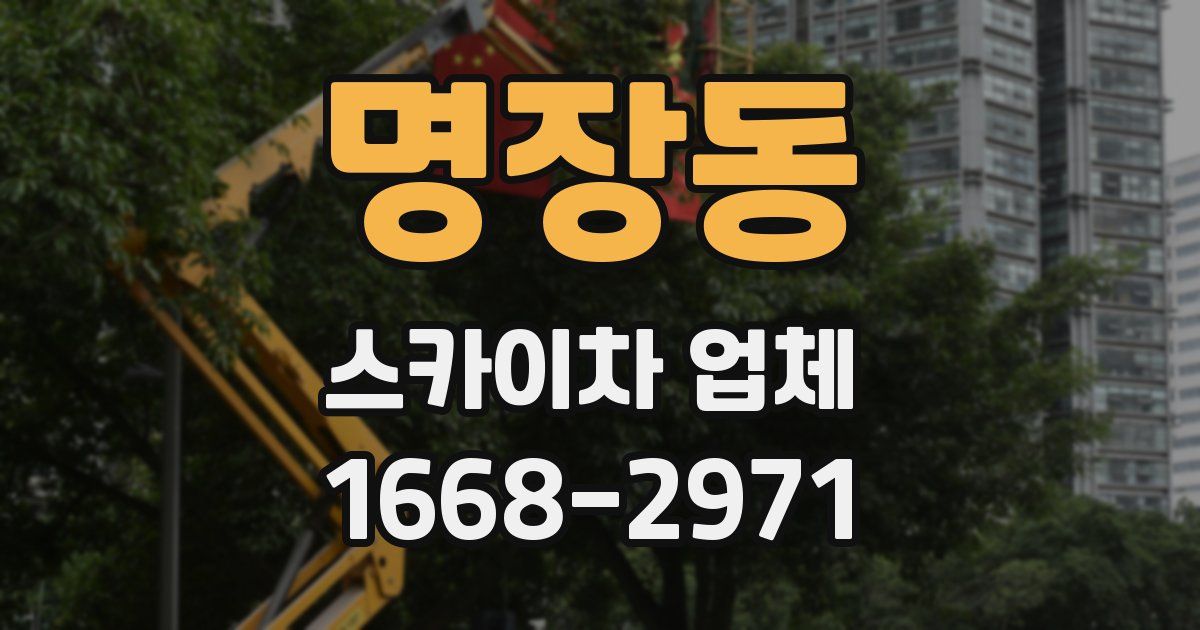 명장동 스카이차 업체