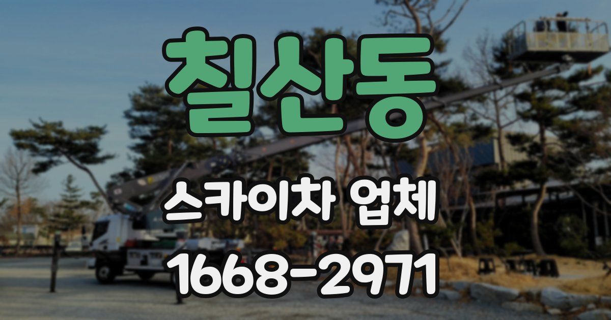 칠산동 스카이차 업체