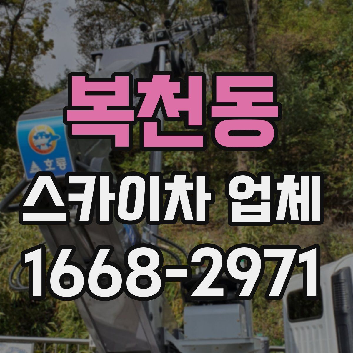 복천동 스카이차 업체
