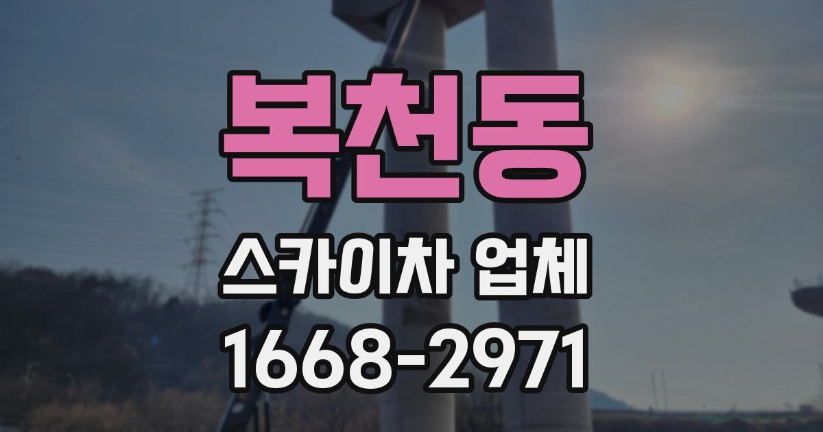 복천동 스카이차 업체