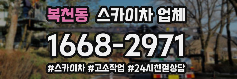 복천동 스카이차 업체