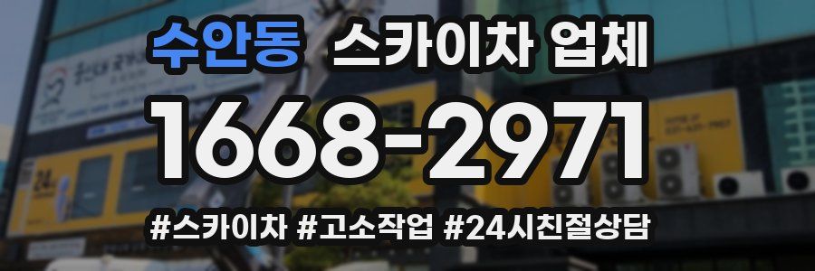 수안동 스카이차 업체