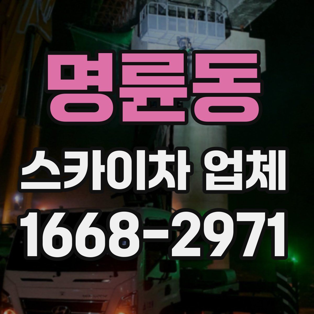 명륜동 스카이차 업체