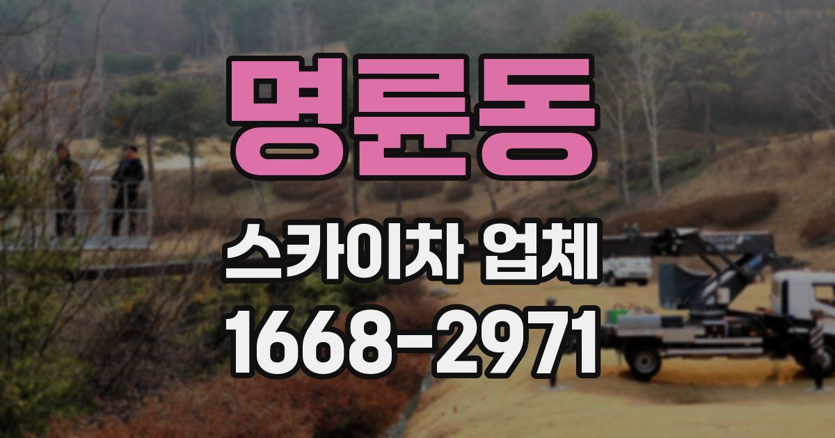 명륜동 스카이차 업체