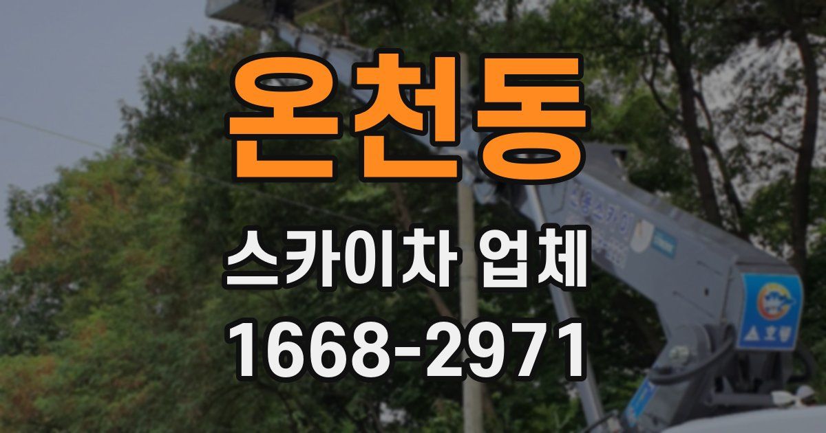 온천동 스카이차 업체