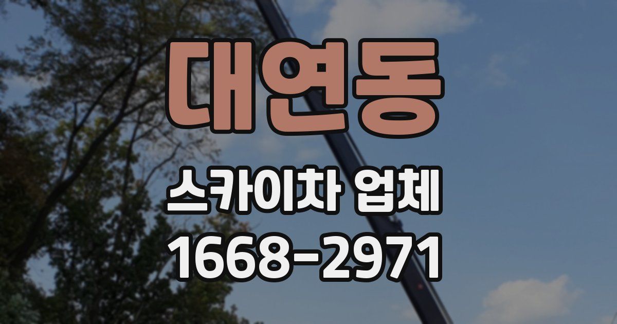 대연동 스카이차 업체