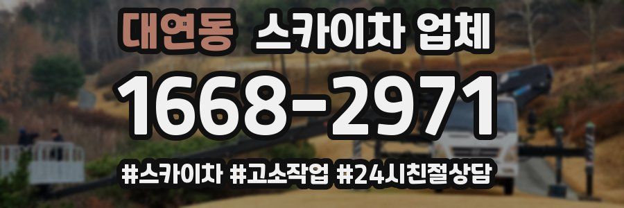 대연동 스카이차 업체
