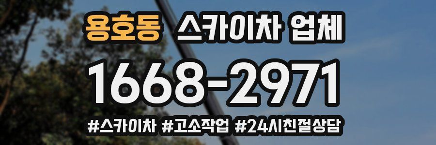 용호동 스카이차 업체