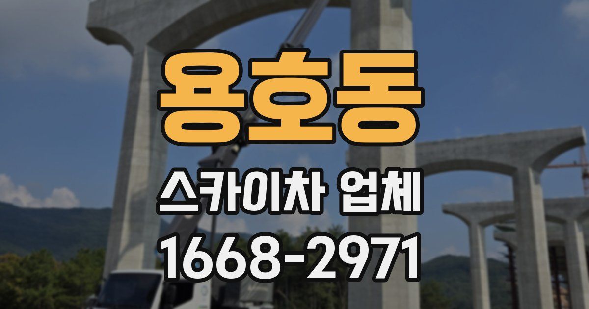 용호동 스카이차 업체